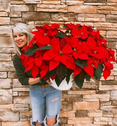 Large Poinsettia from Martha Mae's Floral & Gifts in McDonough, GA
