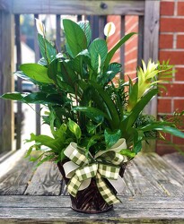 Large Potted Plant Garden  from Martha Mae's Floral & Gifts in McDonough, GA