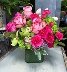 New Sensations from Martha Mae's Floral & Gifts in McDonough, GA