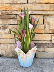 Calla Lily Plant from Martha Mae's Floral & Gifts in McDonough, GA