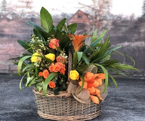 XL European Plant Basket with Fresh Flowers Added from Martha Mae's Floral & Gifts in McDonough, GA